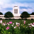 Indian Institute of Technology, Ranchi
